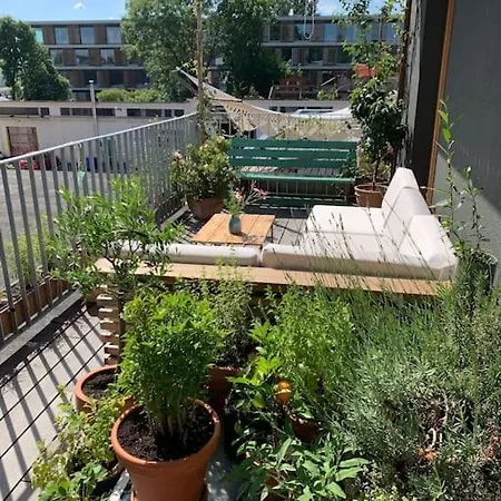 Helle Loftwohnung Mit Grosser Terrasse *